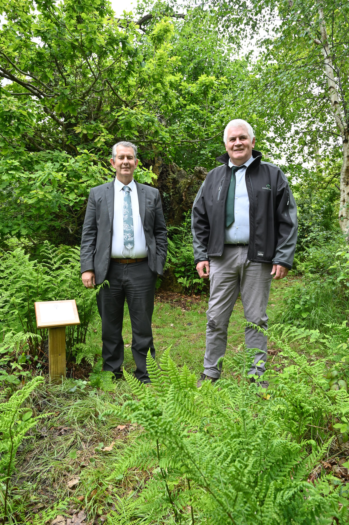 Minister Poots Marks The Belvoir Oak Tree Department Of Agriculture 